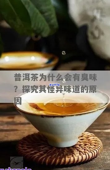 普洱茶的骚臭味是正常的吗？如何辨别和去除普洱茶的异味？