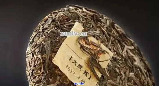 普洱茶饼表面白点现象解析：原因、影响及解决 *** 全面了解