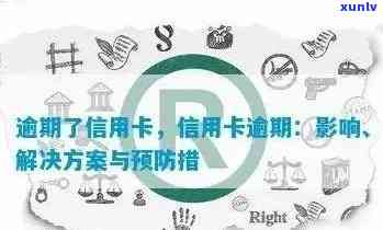 全方位指南：如何查询信用卡逾期情况，解决各种相关问题