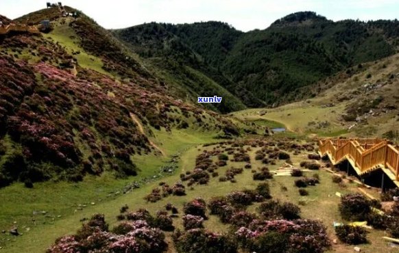 马鹿塘风景区：全景介绍、门票价格、开放时间、交通路线及住宿推荐