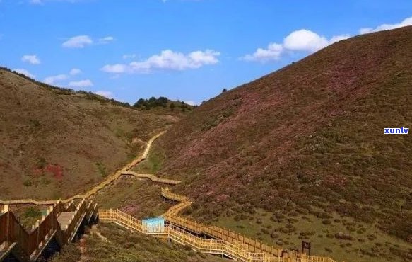 马鹿塘风景区：全景介绍、门票价格、开放时间、交通路线及住宿推荐