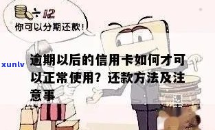 逾期信用卡还款攻略：详细步骤与注意事项