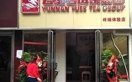 江门市普洱茶专卖店地址列表，一站式解决您的选购需求