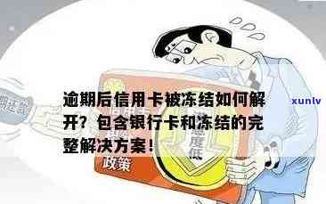 逾期后信用卡被冻结怎么办？全面解冻指南与应对策略