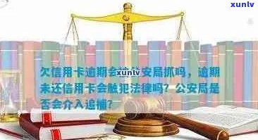 信用卡逾期还款：公安局的介入与后果，你了解吗？