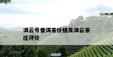 滇轮号普洱茶怎么样？滇云号、滇号和滇藏号普洱茶价格解析