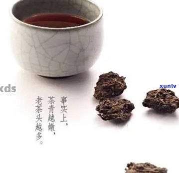 信记号普洱茶值得收藏：老茶头、八八七品质上乘，口感独特，珍藏不亏！