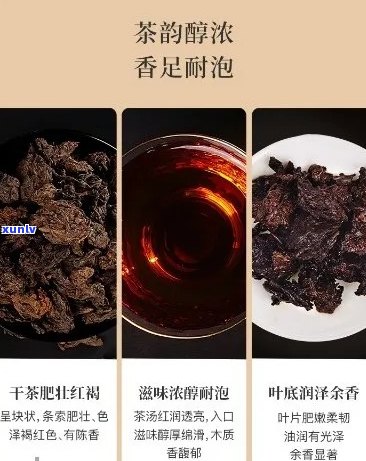 信记号普洱茶老茶头：一款历经岁月沉淀的珍贵佳品，品味与养生的完美结合