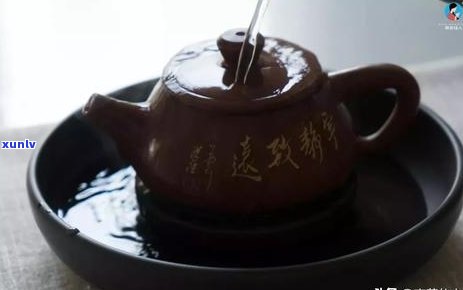 普洱茶一天喝多少泡