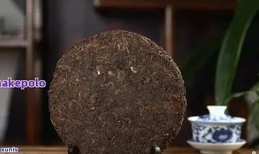 熟普洱茶饼煮几分