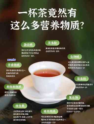 三伏天每天喝普洱茶