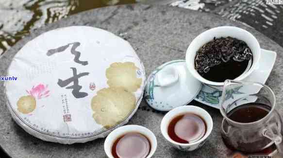 从选购到冲泡：全面了解普洱茶茶饼生茶的品饮 *** 与技巧