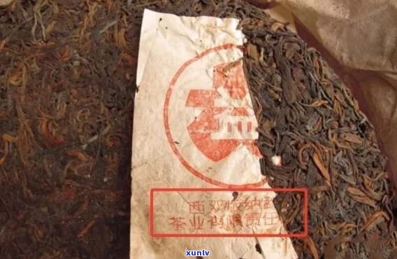 探究2万元一箱的普洱茶：究竟是什么品种的茶叶？如何鉴别其真伪？