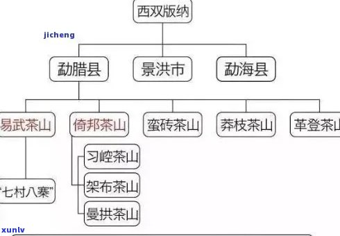 东蓉六大茶山普洱茶全解析：产地、品种、品质与泡法一应俱全