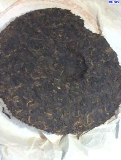 大益普洱茶唛号与等级：了解普洱茶品质的关键指南