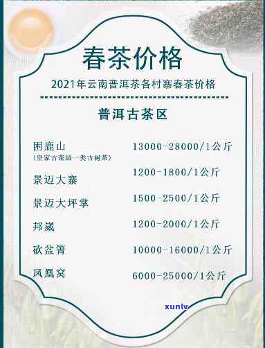 2021年普洱茶头春价格表