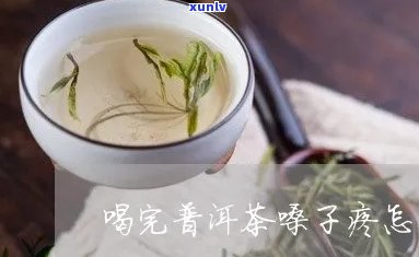 普洱茶：喉咙疼痛的救星？