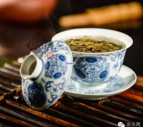 普洱茶品饮全指南：如何泡制一杯美味的普洱茶，以及品尝与保存技巧