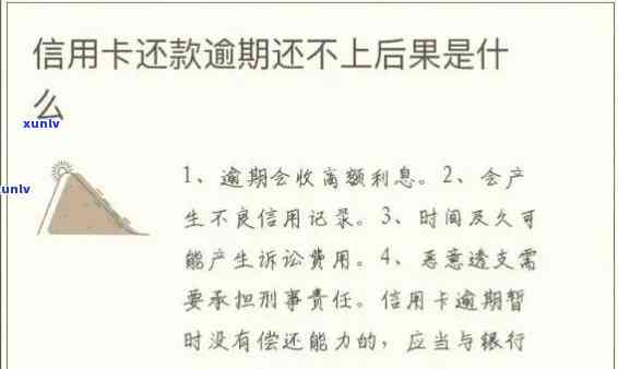 株洲市信用卡逾期还款全攻略：解决逾期问题、影响与应对措一文详解！