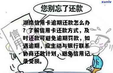 株洲市信用卡逾期还款全攻略：解决逾期问题、影响与应对措一文详解！