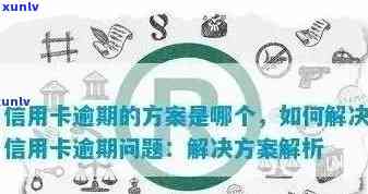 信用卡逾期率调查：揭示全球范围内的逾期情况及其影响因素