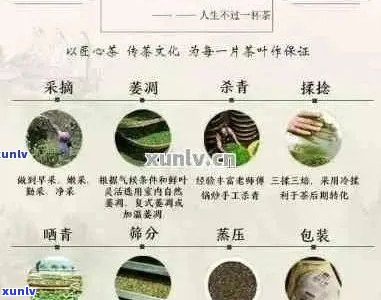 普洱茶价格解析：了解各种等级和产地的普洱茶价格区间