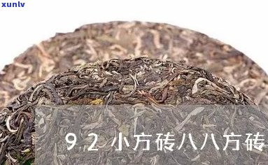 普洱茶八八方砖泡法