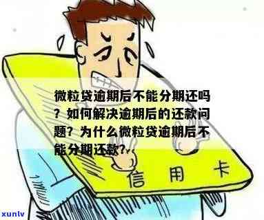 新信用卡逾期困境：如何解决微粒贷问题？