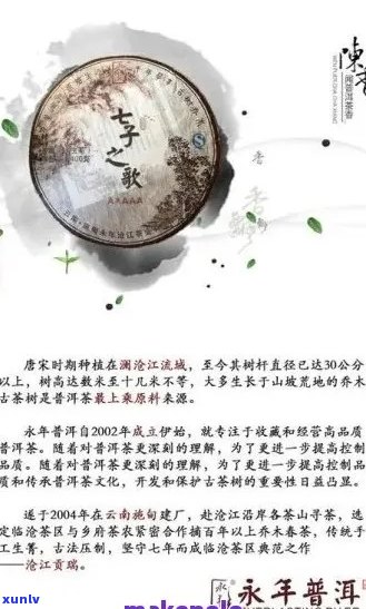 请你喝杯普洱茶：歌词与大意解析