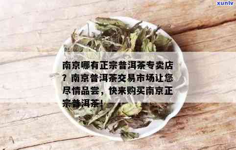 南京人喝普洱茶多吗