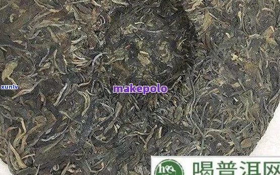 普洱茶霉菌指标应该是多少度可以杀死？