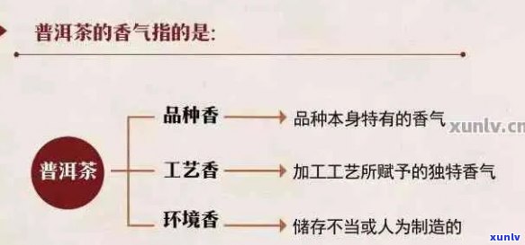 普洱茶有香精吗？为什么？能喝吗？是真的吗？普洱茶的香味是香精还是天然？