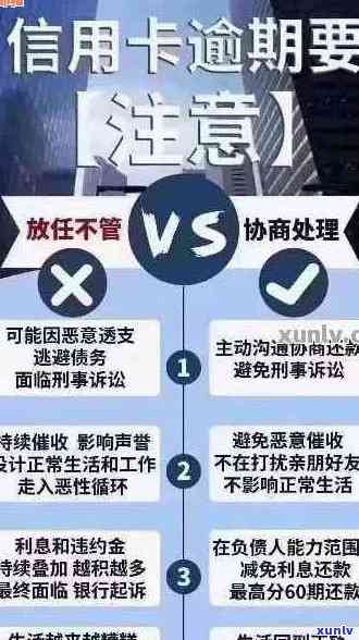 新过年期间信用卡逾期还款策略，如何避免罚息和信用损失？