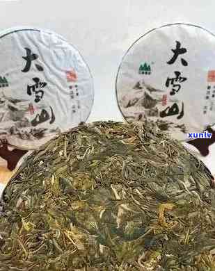 大雪山普洱茶：独特风味及其对身心健的益处