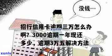 招商信用卡逾期半年3000元，用户如何解决还款问题和影响？