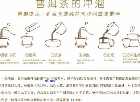 全面解析：普洱茶坨冲泡 *** 与技巧，让您轻松掌握正确泡茶步骤