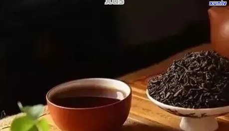 如何利用普洱茶在一天内有效减肥？