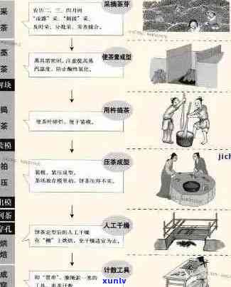 探究熟普洱茶的 *** 过程：炒制是否为必要步骤？能否安全饮用？