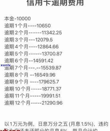 如何查看信用卡逾期利息和额度？完整指南