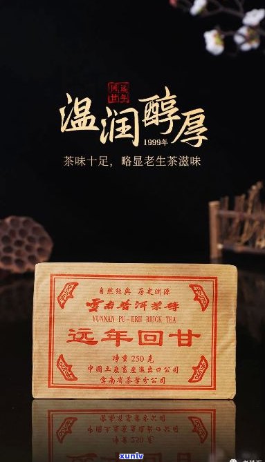 溢沣普洱茶越旧越醇