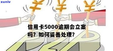 信用卡额度5000逾期5个月，如何妥善处理？