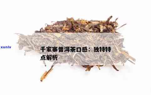 千家寨普洱茶生茶价格：特点口感与云南优质茶叶的完美结合