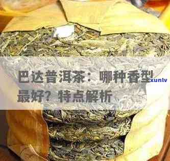 巴达普洱茶全面解析：品质、口感、功效与泡法，解答用户所有疑问