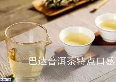 巴达普洱茶全面解析：品质、口感、功效与泡法，解答用户所有疑问