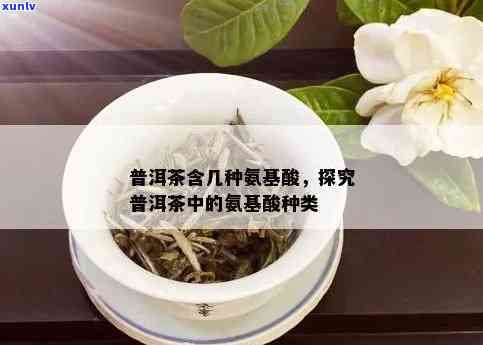 普洱茶里有氨基酸吗？女生能喝吗？普洱生茶的氨基酸含量是多少？