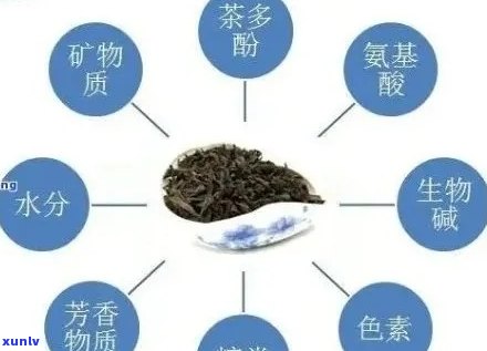 普洱茶里有氨基酸吗