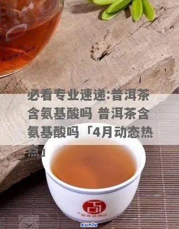 普洱茶里有氨基酸吗