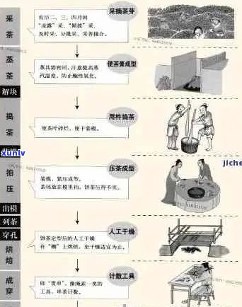 百年普洱茶饼 *** ：工艺详解与品鉴指南