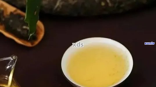 一整提普洱茶的品质、口感和适宜饮用方式：一次全面的解读与分析