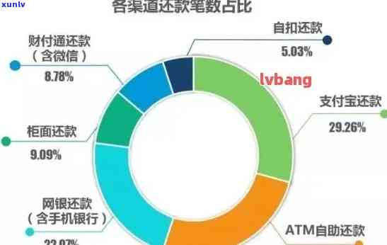 信用卡逾期还款解决方案：了解各种选择及其优缺点